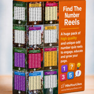 Find The Number Quiz Bundle #3 - 300 Unique Reels
