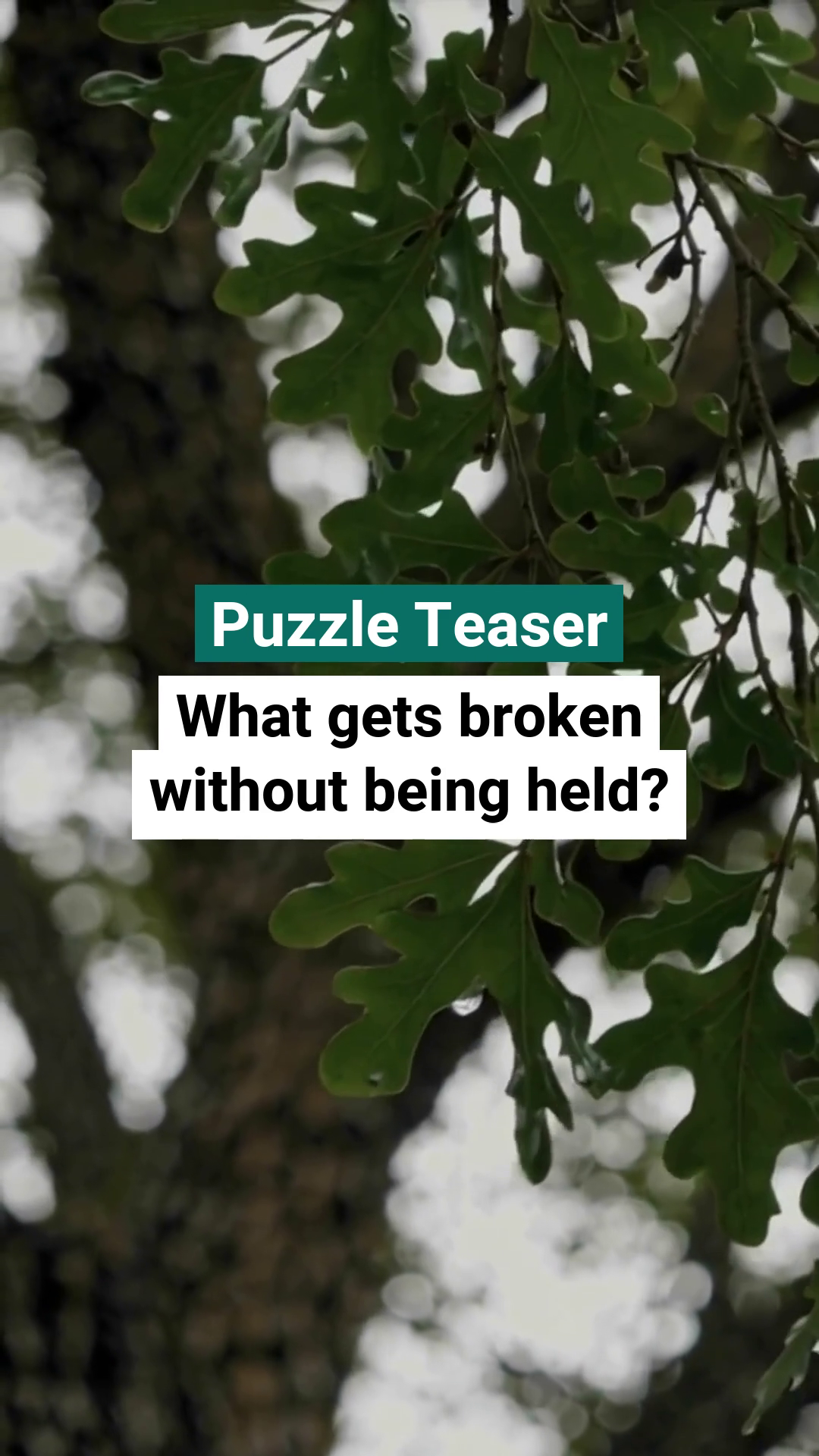 Logic Puzzles Quiz Reels screenshot