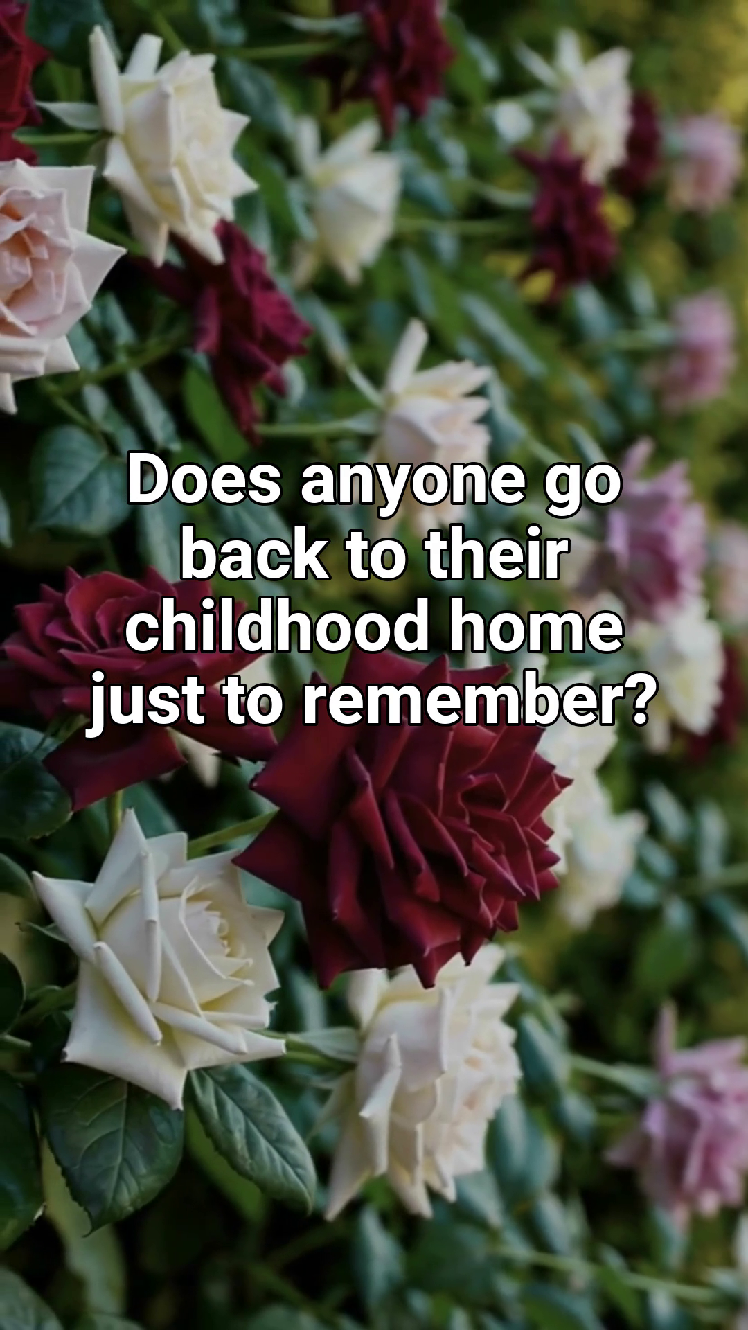 Nostalgia Quote Reels screenshot